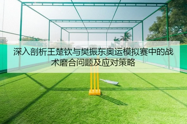 深入剖析王楚钦与樊振东奥运模拟赛中的战术磨合问题及应对策略